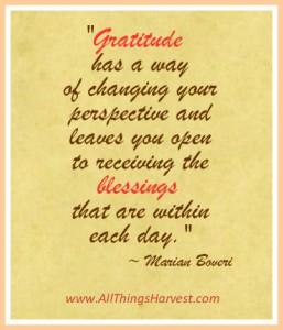 Gratitude brings blessings