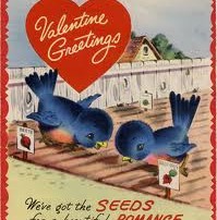 seeds.for.love.compressed