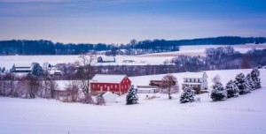 Even when the fields are covered in a blanket of snow the farmer is planning the harvest.